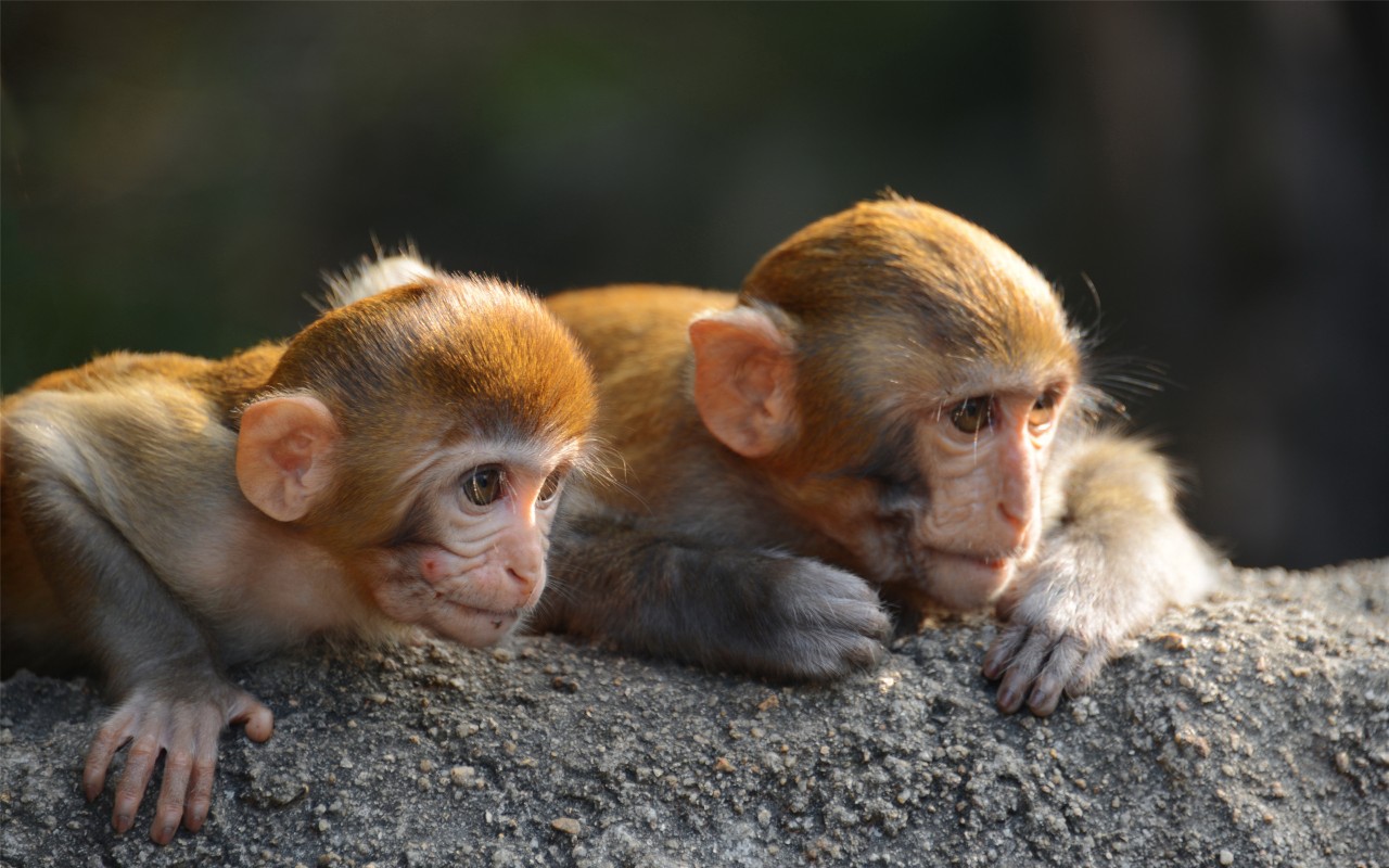 微信圖片_20190517145632