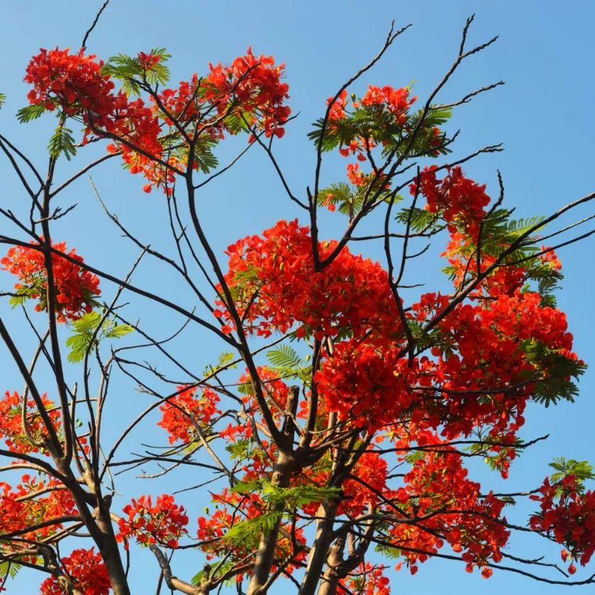 微信圖片_20190524192201