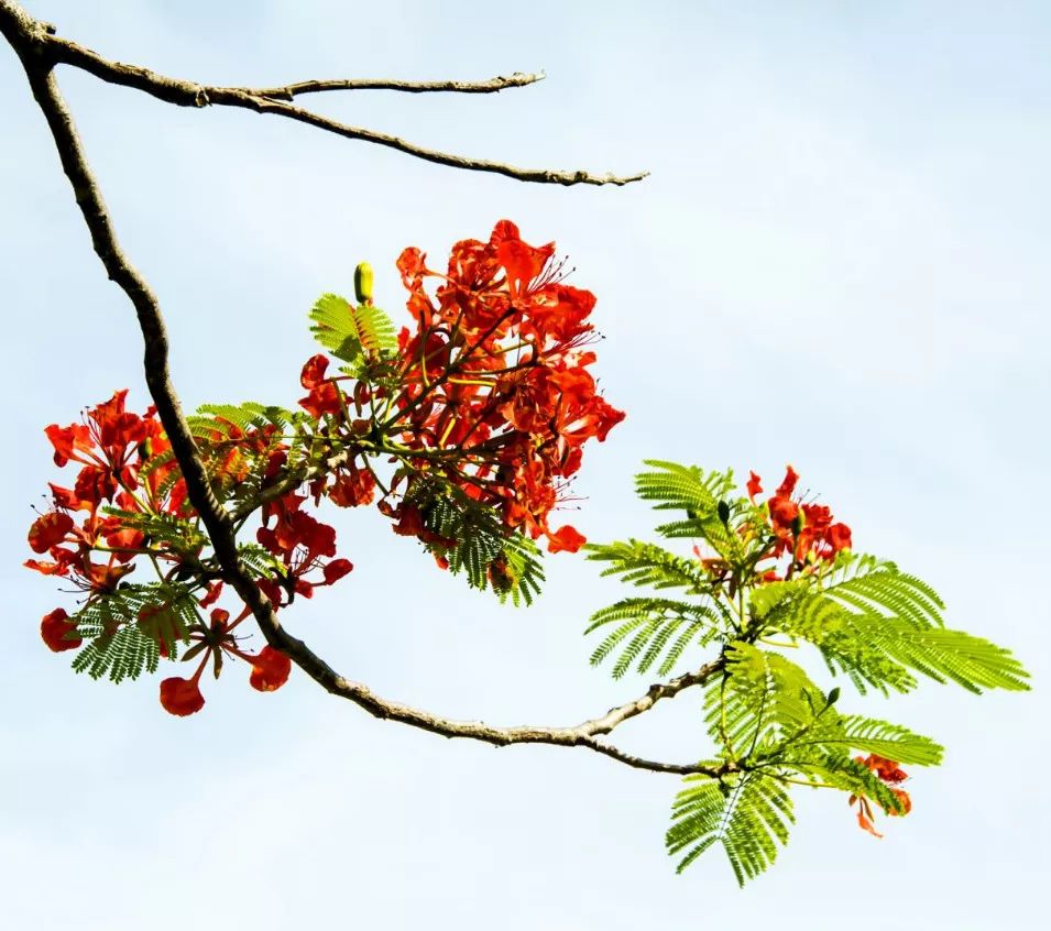 微信圖片_20190524192253