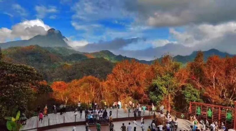 微信圖片_20190527194855