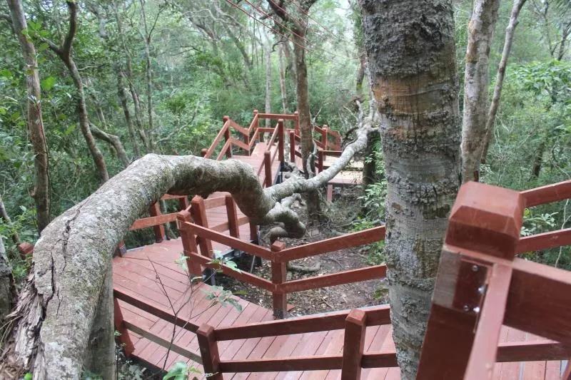 微信圖片_20190527194848