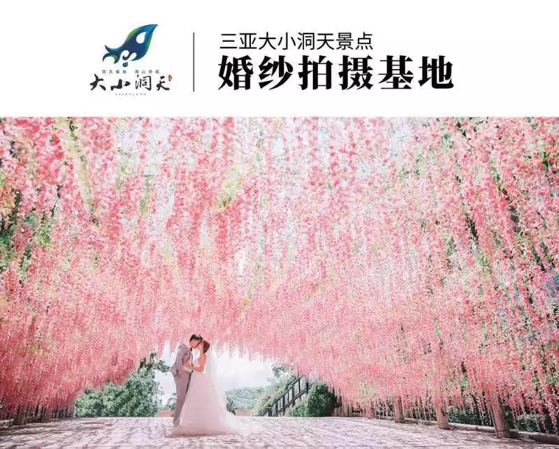 微信圖片_20190626100455