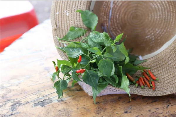 微信圖片_20190708171536