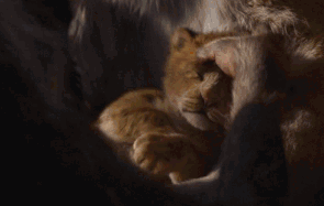 微信圖片_20190712095956