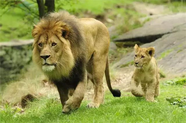 微信圖片_20190712095529