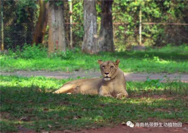 微信圖片_20190712095517