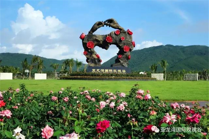 微信圖片_20190718164346