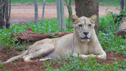 微信圖片_20190718153610