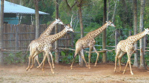 微信圖片_20190718153630