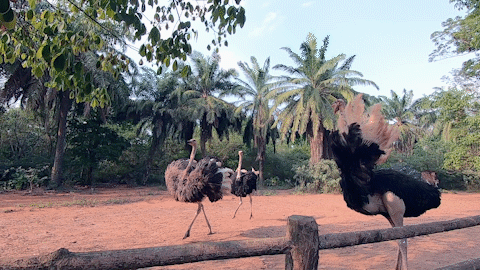 微信圖片_20190718153605