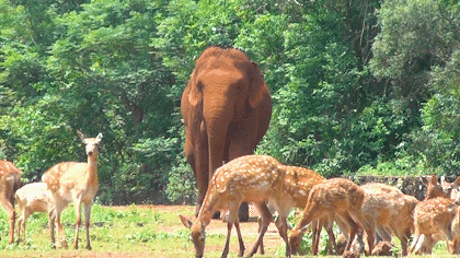 微信圖片_20190718153616