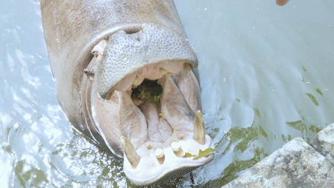 微信圖片_20190718153633