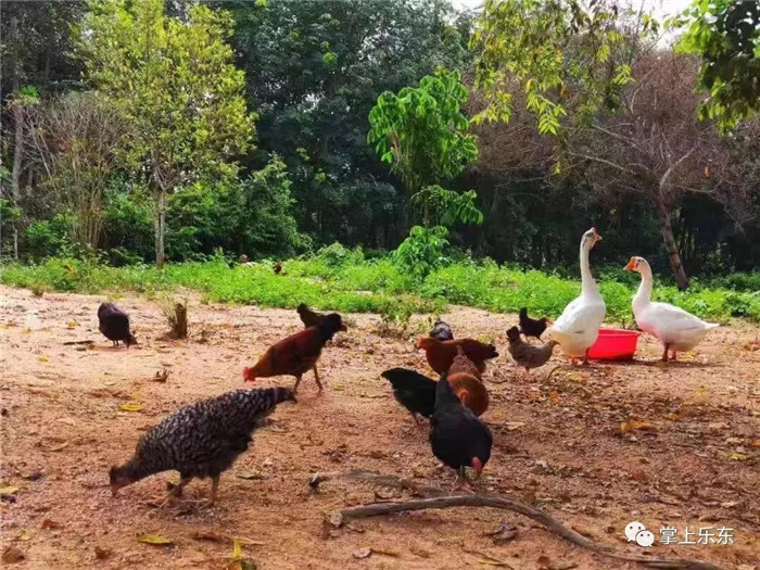 微信圖片_20190801085357