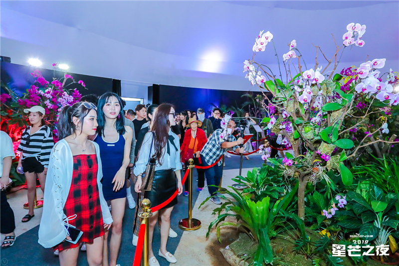 網(wǎng)紅暢游大小洞天打卡首屆三亞國際花卉旅游節(jié) (7)