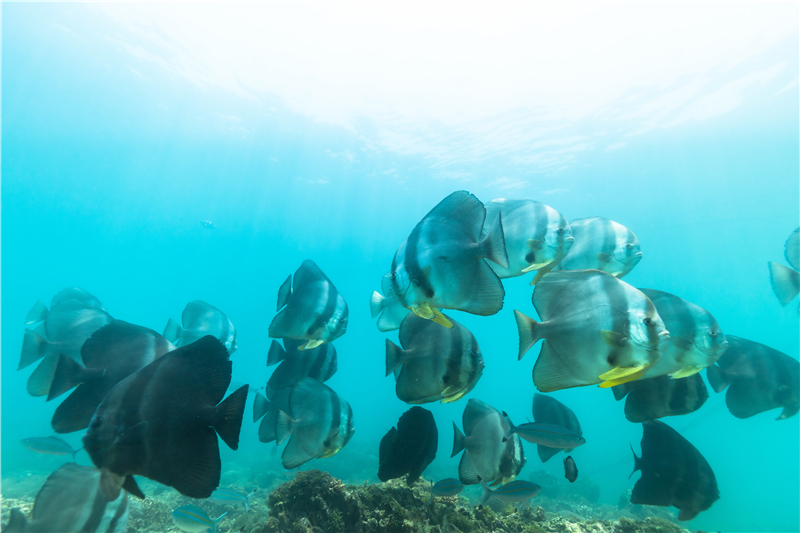 微信圖片_20200424151210