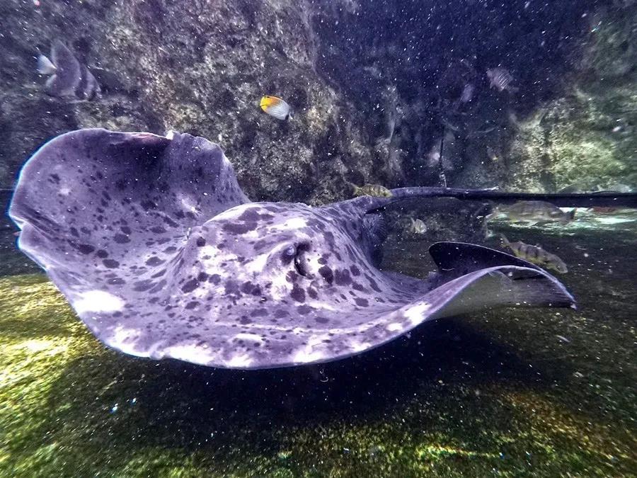 微信圖片_20200501125300