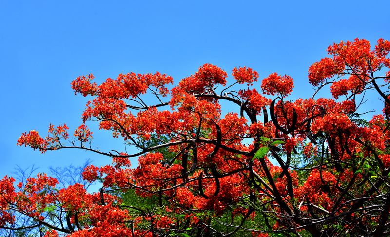 微信圖片_20200609181848