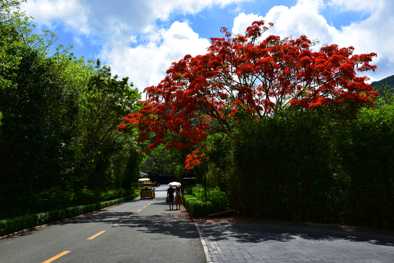 微信圖片_20200609181916