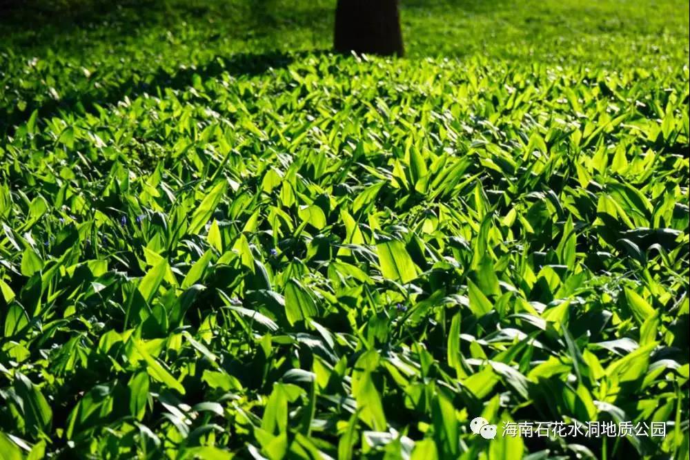 微信圖片_20200831094445