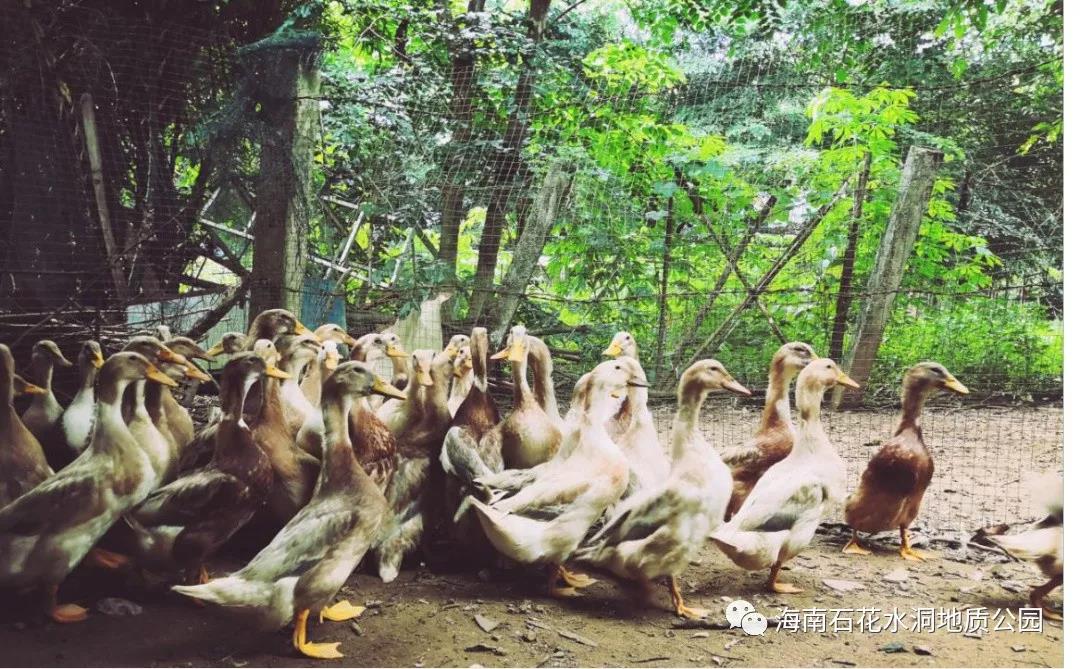 微信圖片_20200831094449