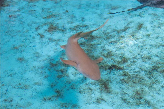 微信圖片_20200930184150