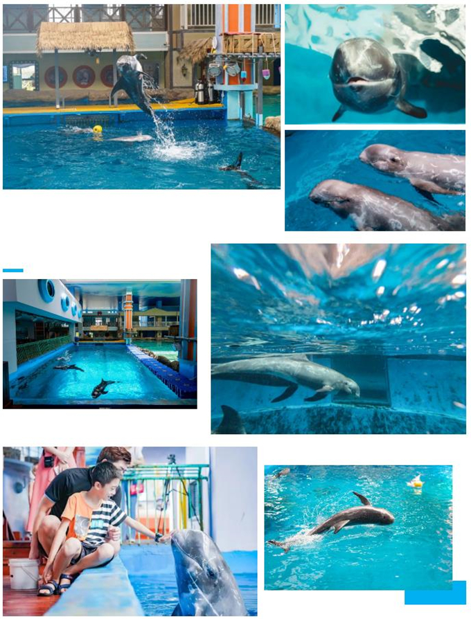 微信截圖_20200930183927