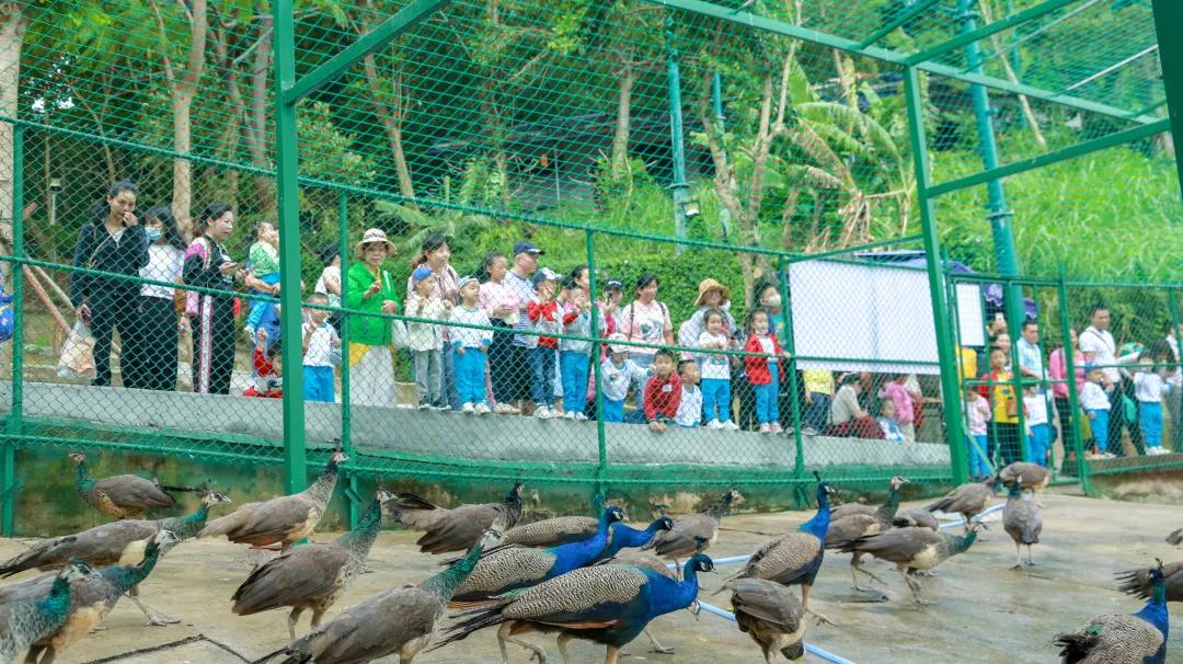 微信圖片_20201208161801