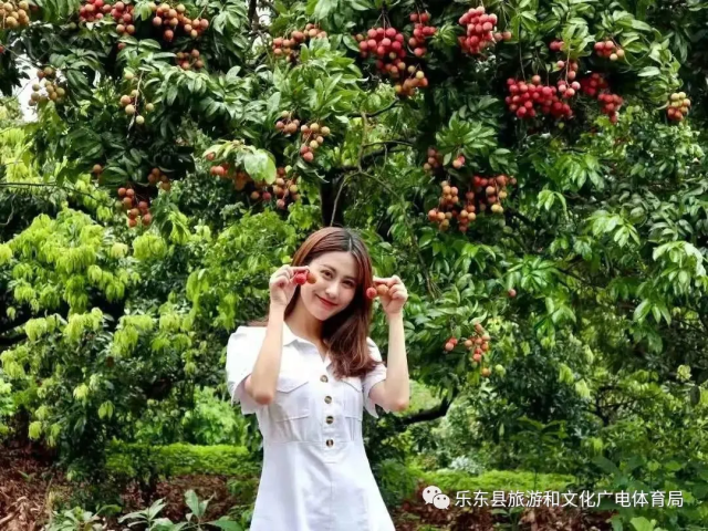 495EEBB5FEB447DEF4D55A776F544F71