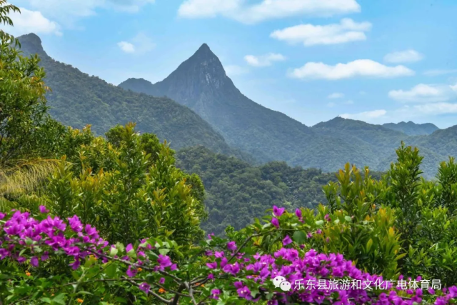 948A682E5B260E5BE1C3126E39CAE8E9