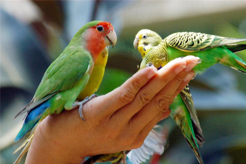 微信圖片_20210517094657