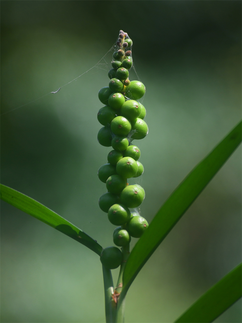 微信圖片_20260410085642_1755_5